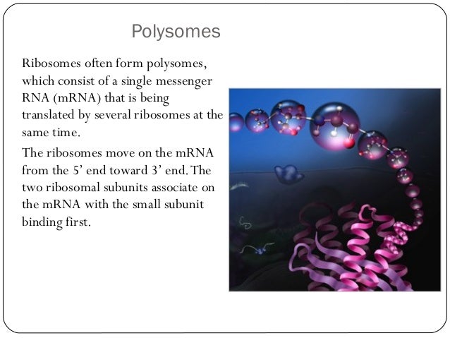 cytology