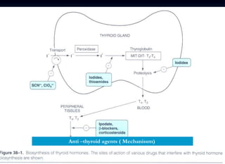 26
Anti –thyroid agents ( Mechanissm)
 