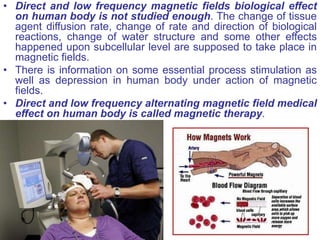 Electrical Currents and Electromagnetic Fields Effects on Biological ...
