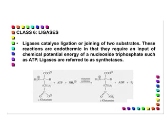 Lecture 1 - Enzymes-Intro. Kinetics.PPT