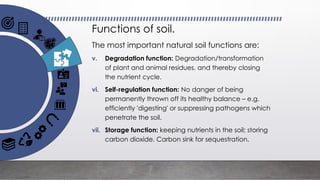 Fundamentals and basics of Soil Fertility | PPTX