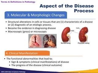 Basic Pathological Process Lecture 1 - General Path.ppt