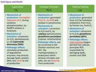 Gpx O2 Lecture 1 - General Path.ppt