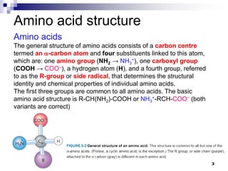 Lecture 1 - General Properties of Amino Acids(2) (1).pdf