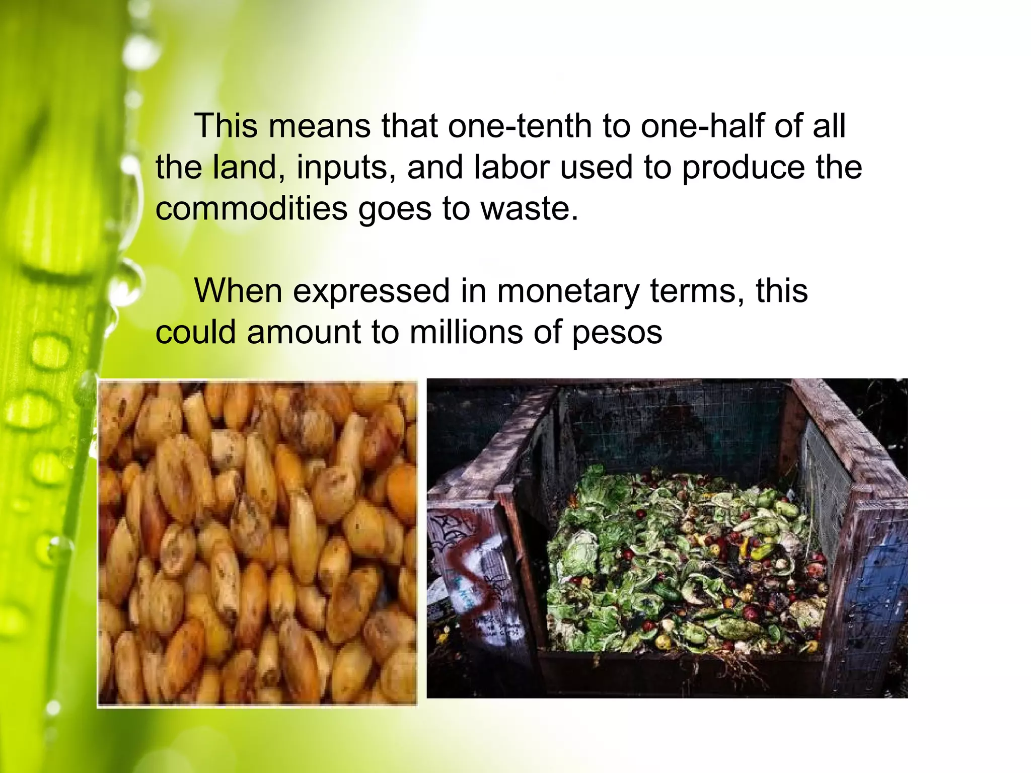 This means that one-tenth to one-half of all
the land, inputs, and labor used to produce the
commodities goes to waste.
When expressed in monetary terms, this
could amount to millions of pesos
 