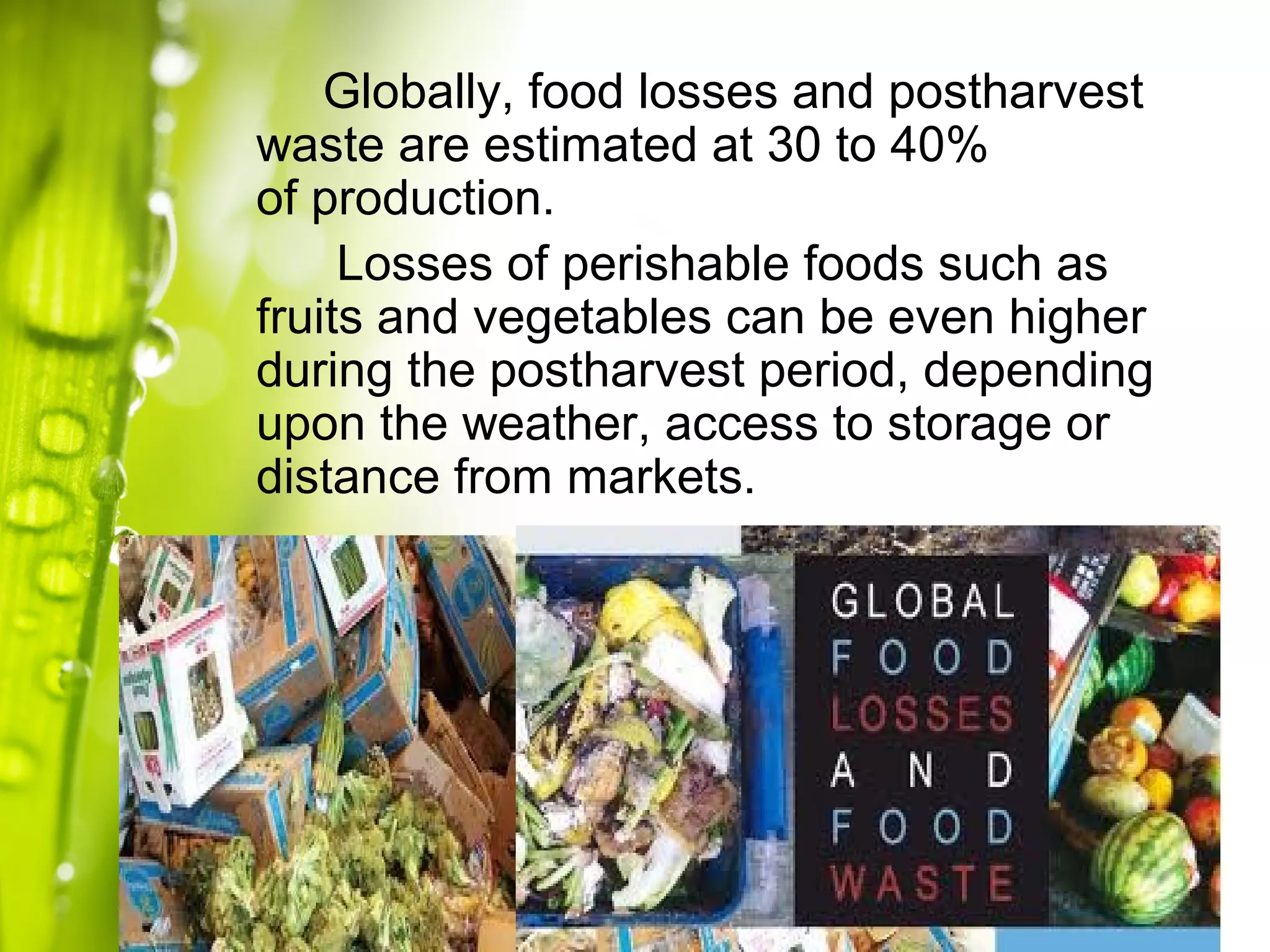 Globally, food losses and postharvest
waste are estimated at 30 to 40%
of production.
Losses of perishable foods such as
fruits and vegetables can be even higher
during the postharvest period, depending
upon the weather, access to storage or
distance from markets.
 