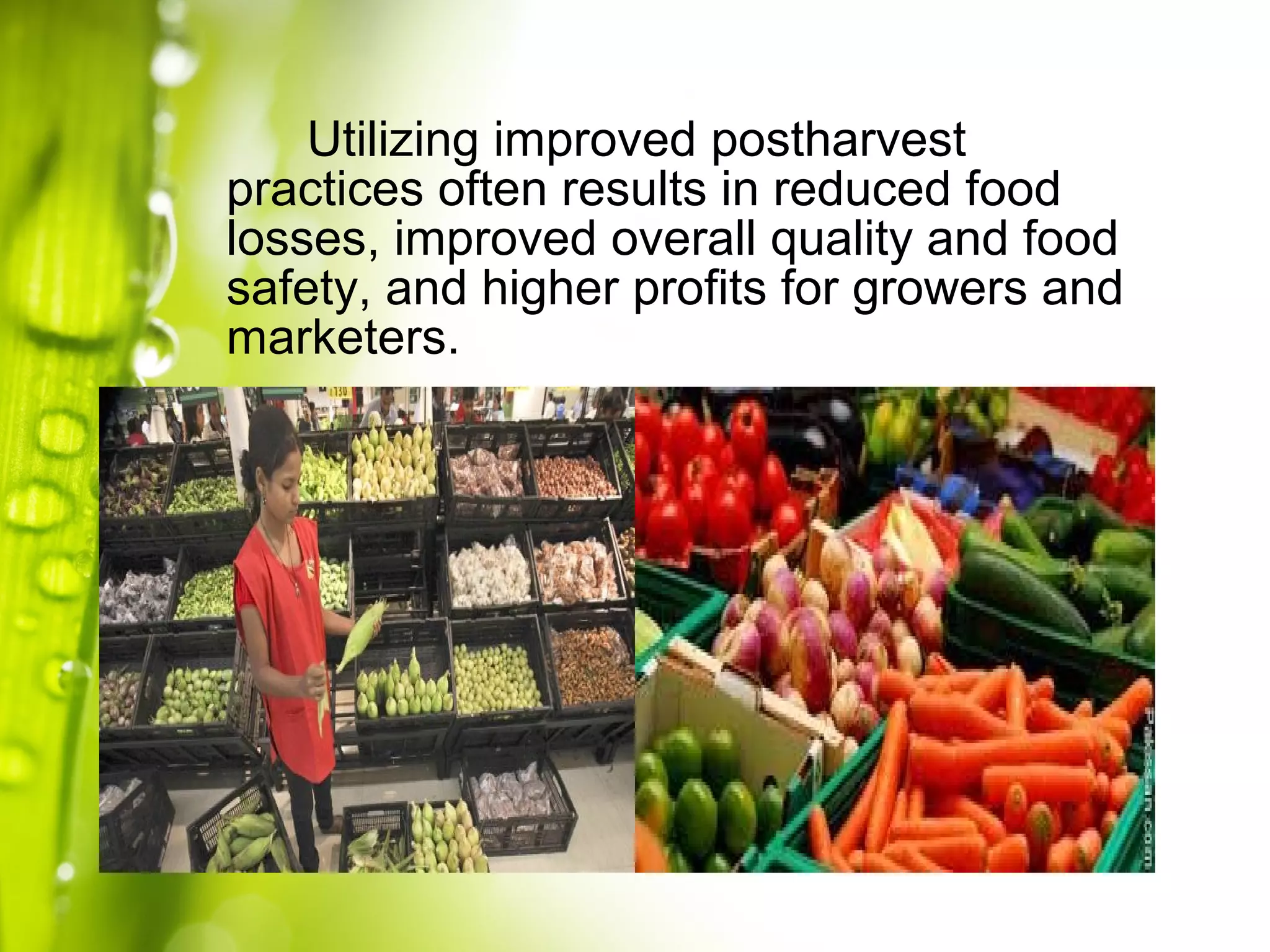 Utilizing improved postharvest
practices often results in reduced food
losses, improved overall quality and food
safety, and higher profits for growers and
marketers.
 