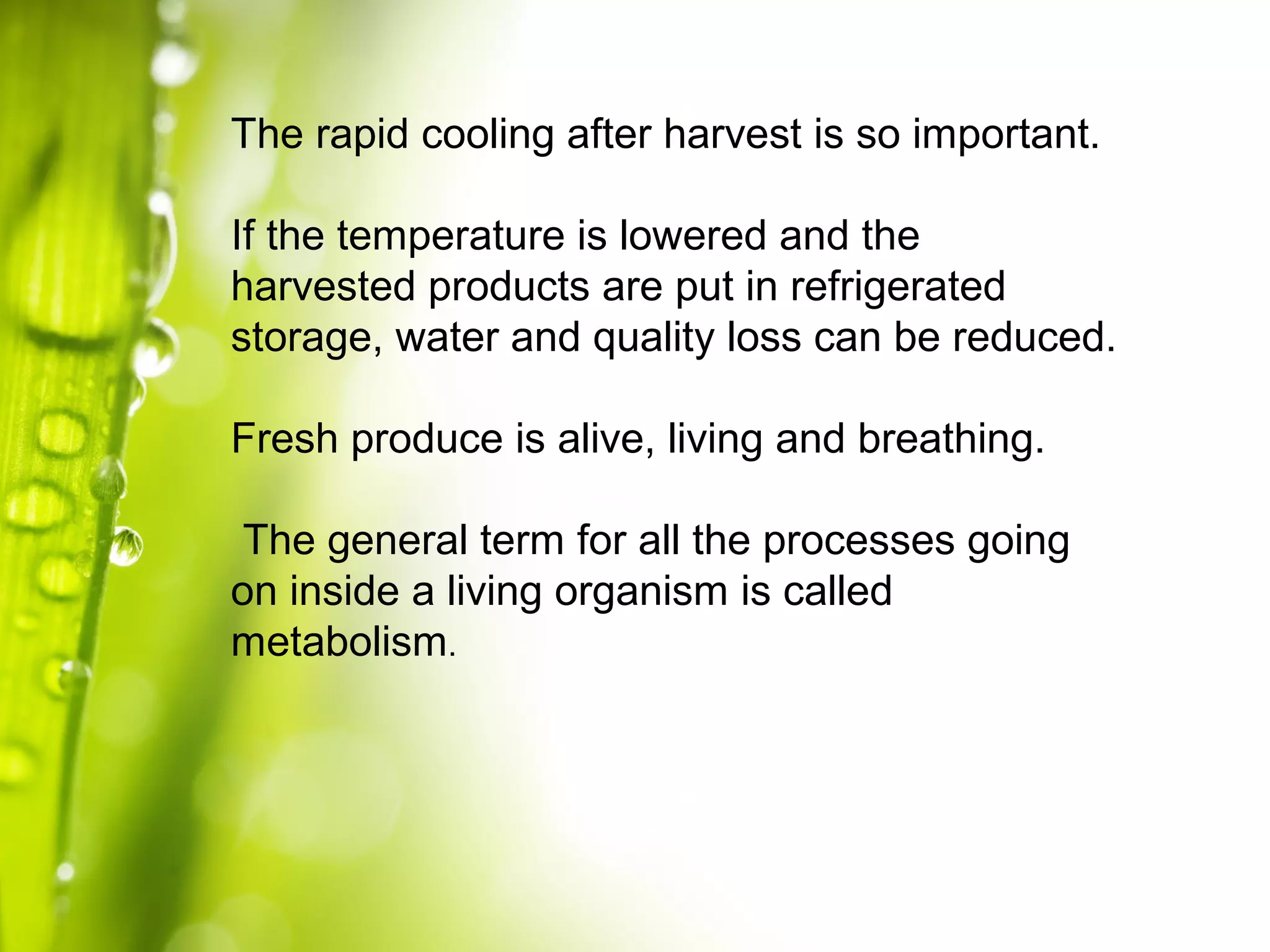 The rapid cooling after harvest is so important.
If the temperature is lowered and the
harvested products are put in refrigerated
storage, water and quality loss can be reduced.
Fresh produce is alive, living and breathing.
The general term for all the processes going
on inside a living organism is called
metabolism.
 