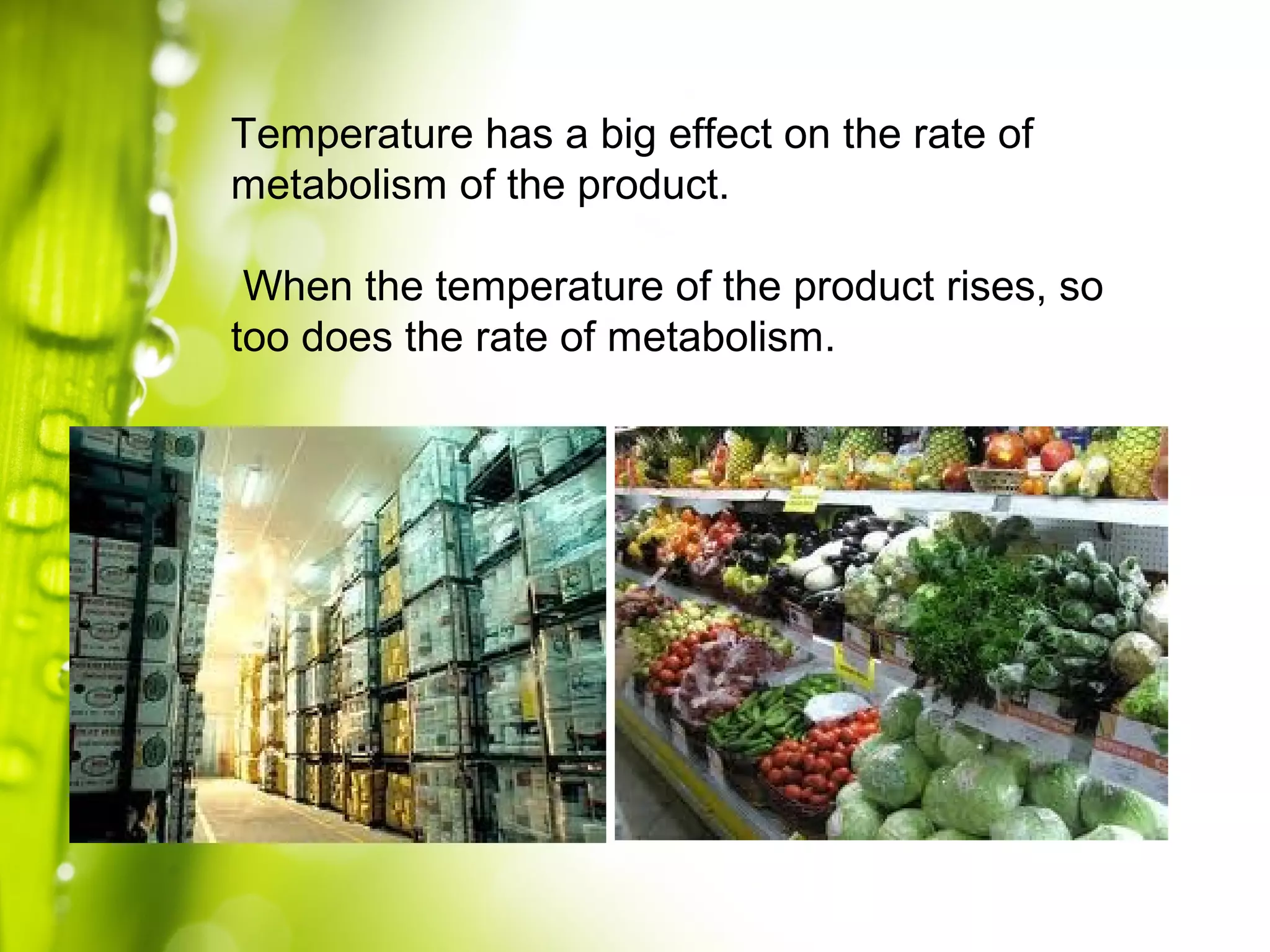 Temperature has a big effect on the rate of
metabolism of the product.
When the temperature of the product rises, so
too does the rate of metabolism.
 