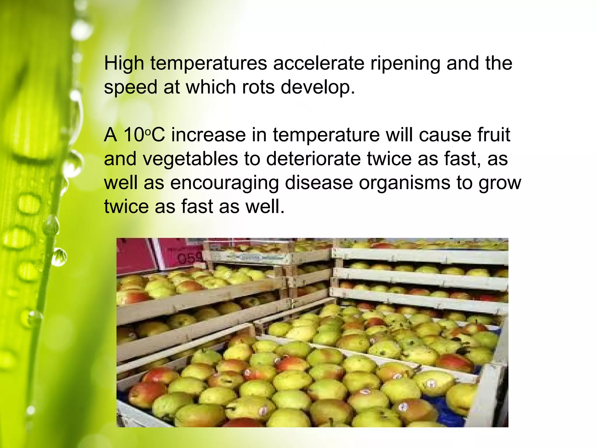 High temperatures accelerate ripening and the
speed at which rots develop.
A 10o
C increase in temperature will cause fruit
and vegetables to deteriorate twice as fast, as
well as encouraging disease organisms to grow
twice as fast as well.
 