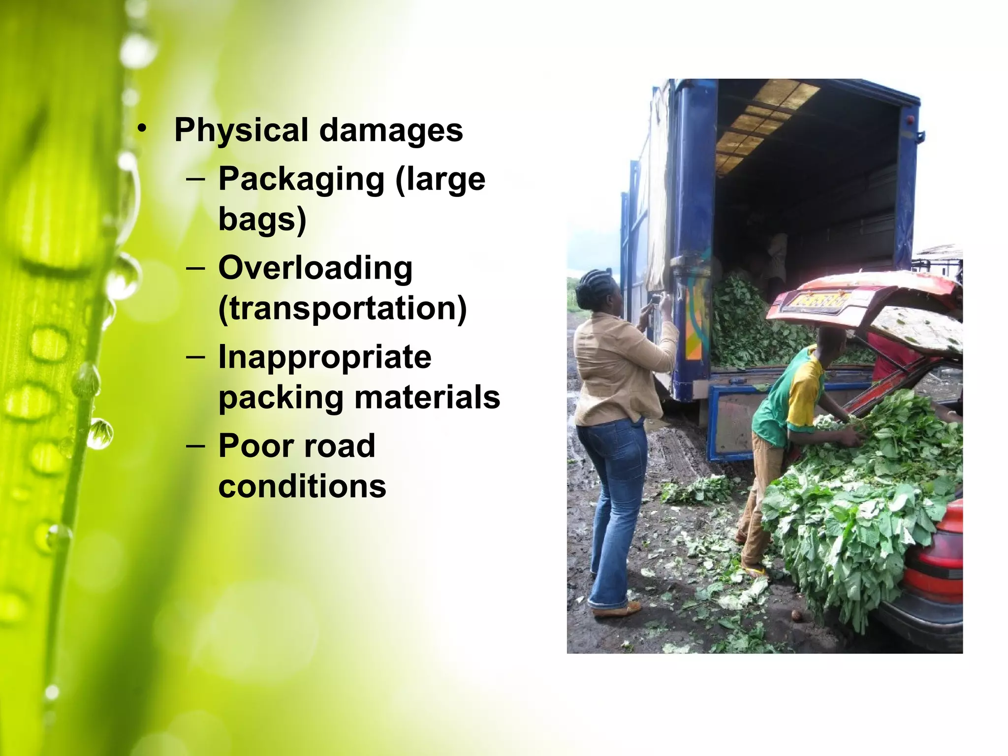 • Physical damages
– Packaging (large
bags)
– Overloading
(transportation)
– Inappropriate
packing materials
– Poor road
conditions
 