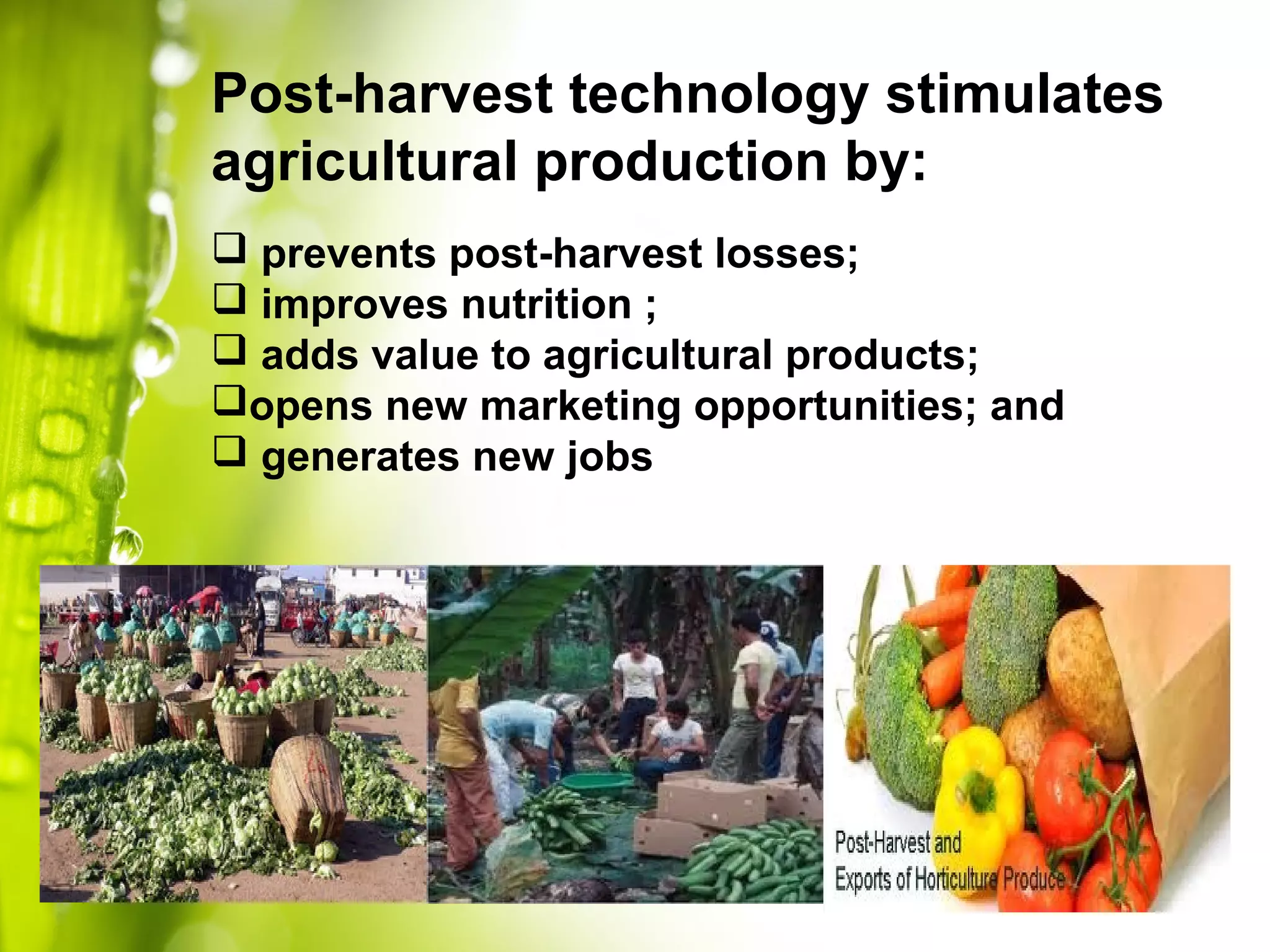 Post-harvest technology stimulates
agricultural production by:
 prevents post-harvest losses;
 improves nutrition ;
 adds value to agricultural products;
opens new marketing opportunities; and
 generates new jobs
 