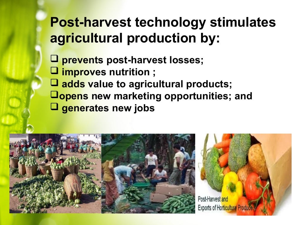Lecture 1 Importance of Postharvest Technology