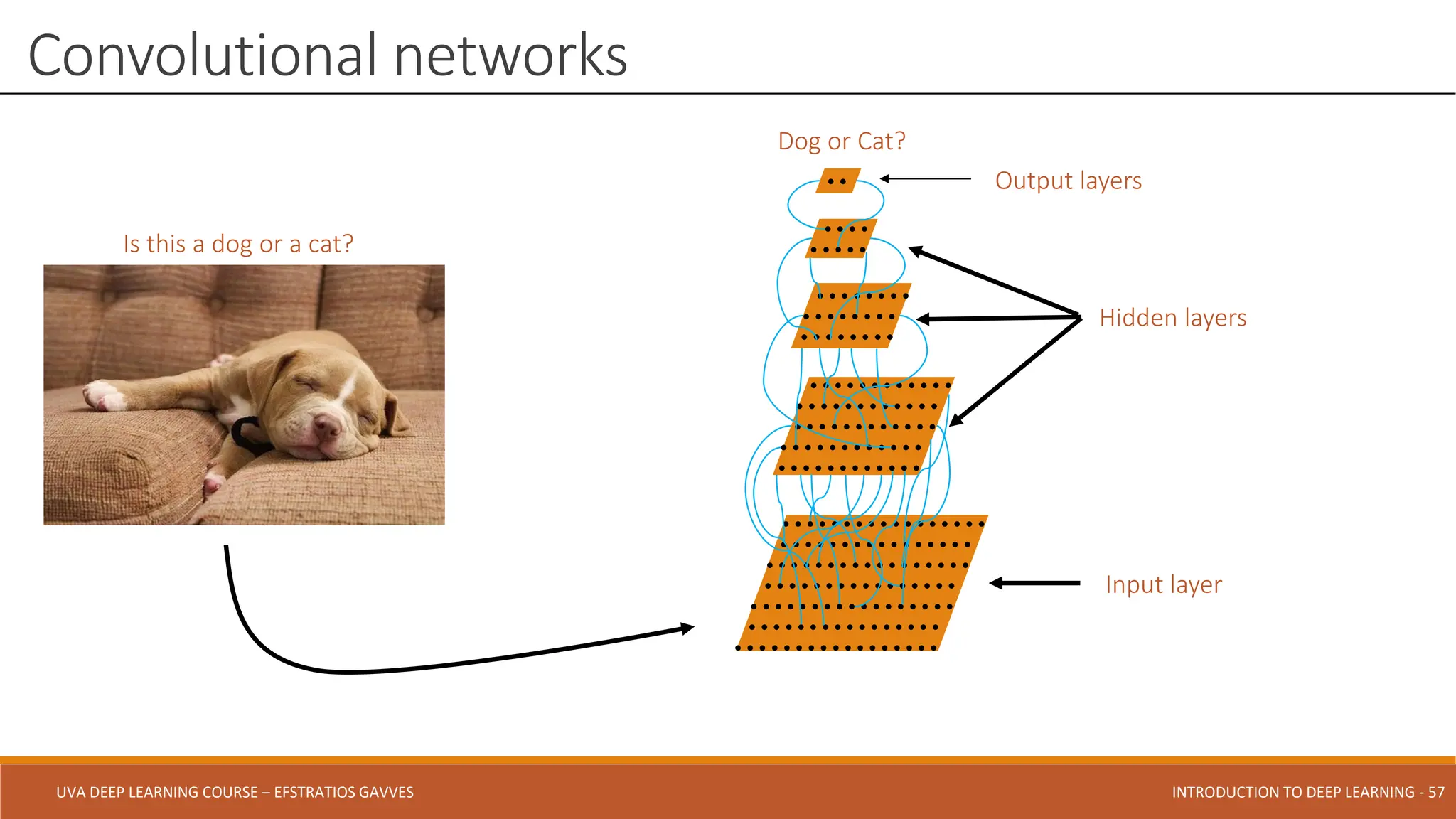 UVA DEEP LEARNING COURSE – EFSTRATIOS GAVVES DEEPER INTO DEEP LEARNING AND OPTIMIZATIONS - 57
UVA DEEP LEARNING COURSE – EFSTRATIOS GAVVES INTRODUCTION TO DEEP LEARNING - 57
Convolutional networks
Dog or Cat?
Is this a dog or a cat?
Input layer
Hidden layers
Output layers
 
