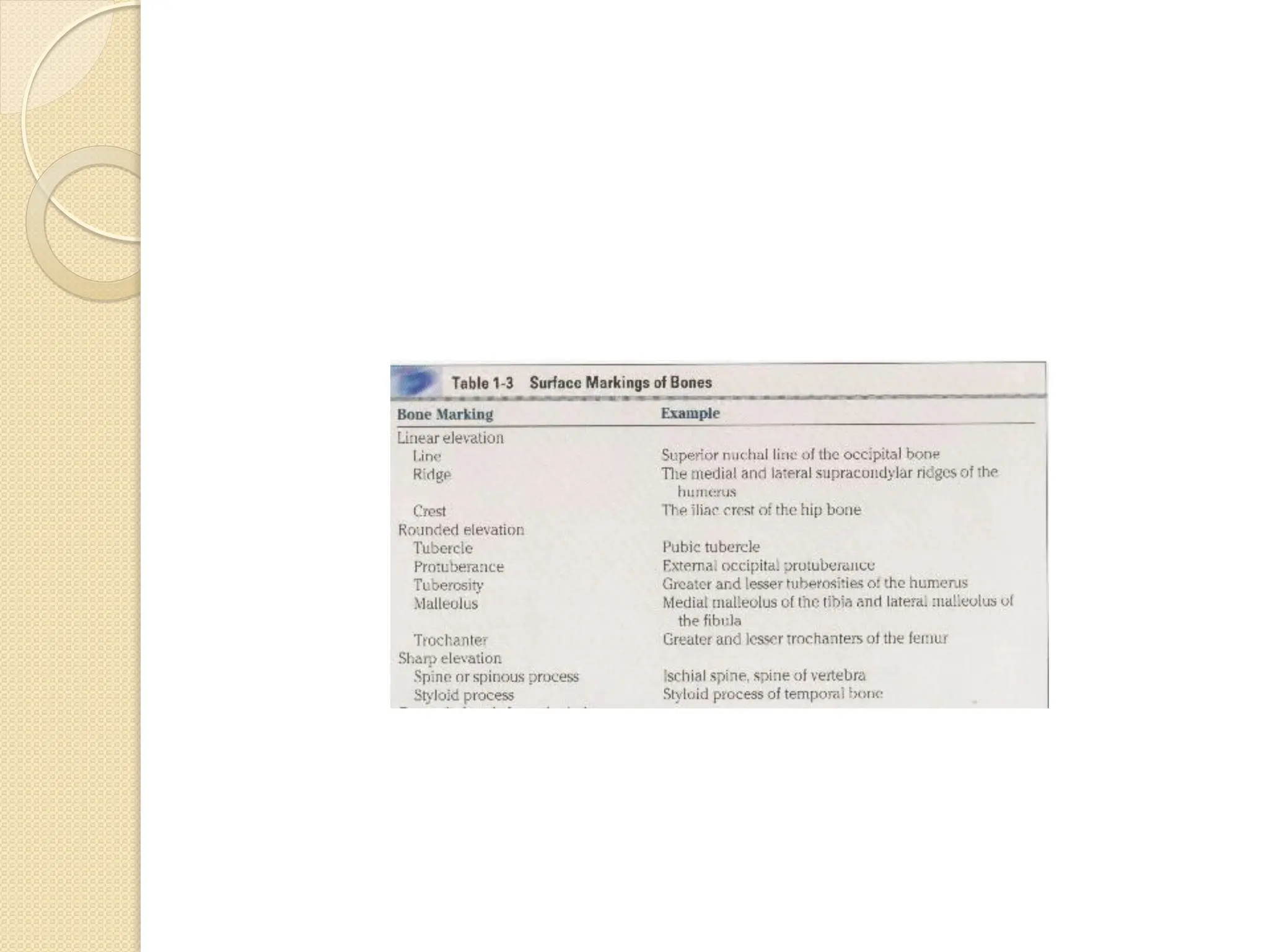 Lecture1 - Introduction.pdfygygyttytygygy6g67g76y76y76h