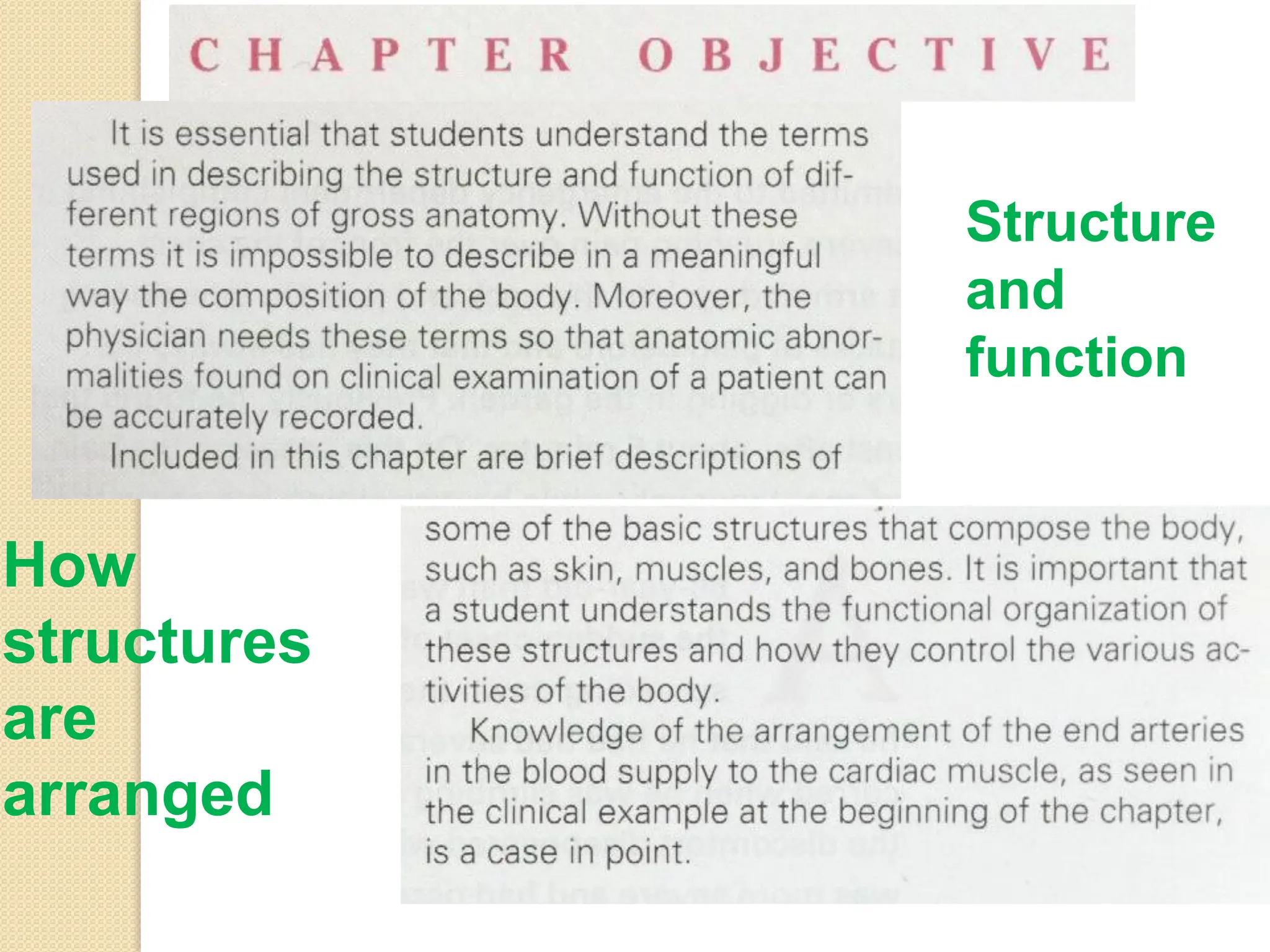 Structure
and
function
How
structures
are
arranged
 