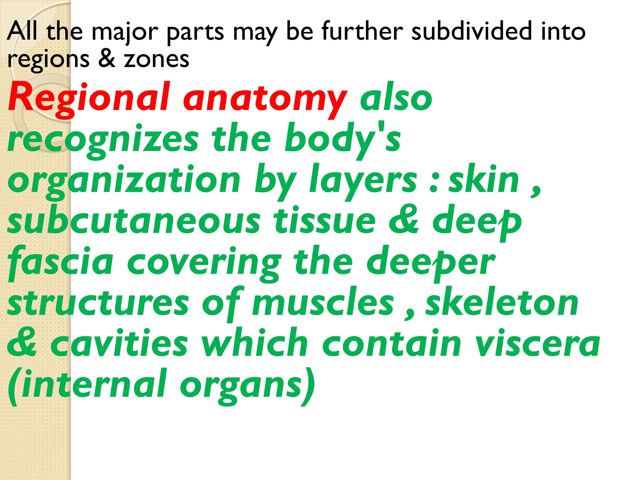 All the major parts may be further subdivided into
regions & zones
Regional anatomy also
recognizes the body's
organization by layers : skin ,
subcutaneous tissue & deep
fascia covering the deeper
structures of muscles , skeleton
& cavities which contain viscera
(internal organs)
 
