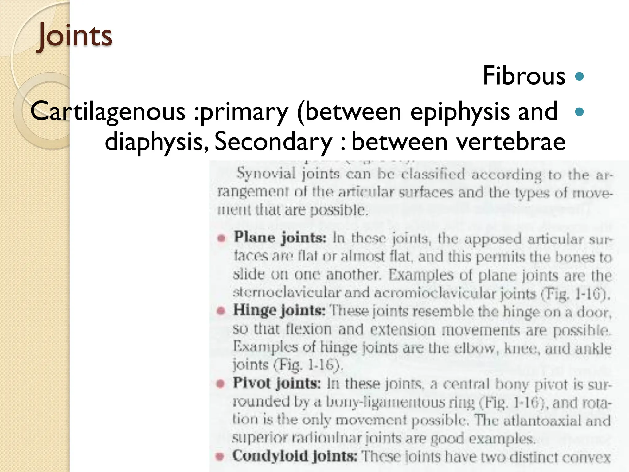 Joints

Fibrous

Cartilagenous :primary (between epiphysis and
diaphysis, Secondary : between vertebrae

Synovial : knee
 