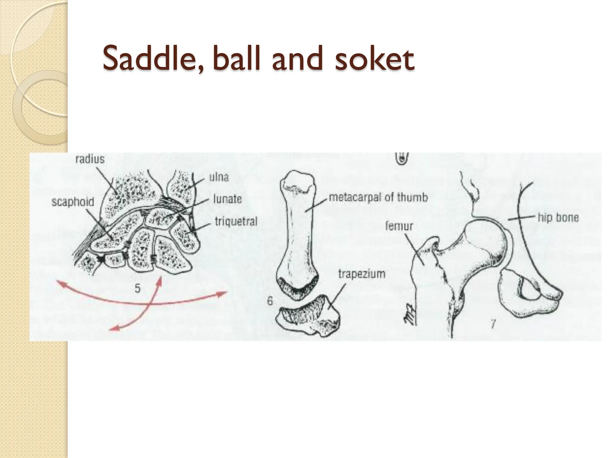 Saddle, ball and soket
 