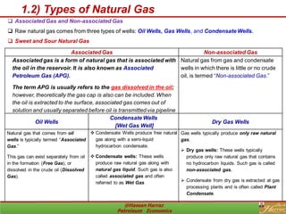 Project Introduction Slide Slide Example Introduction to petroleum Economics | PDF