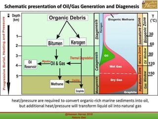 @Hassan Harraz 2018 Nature Gas 13
 