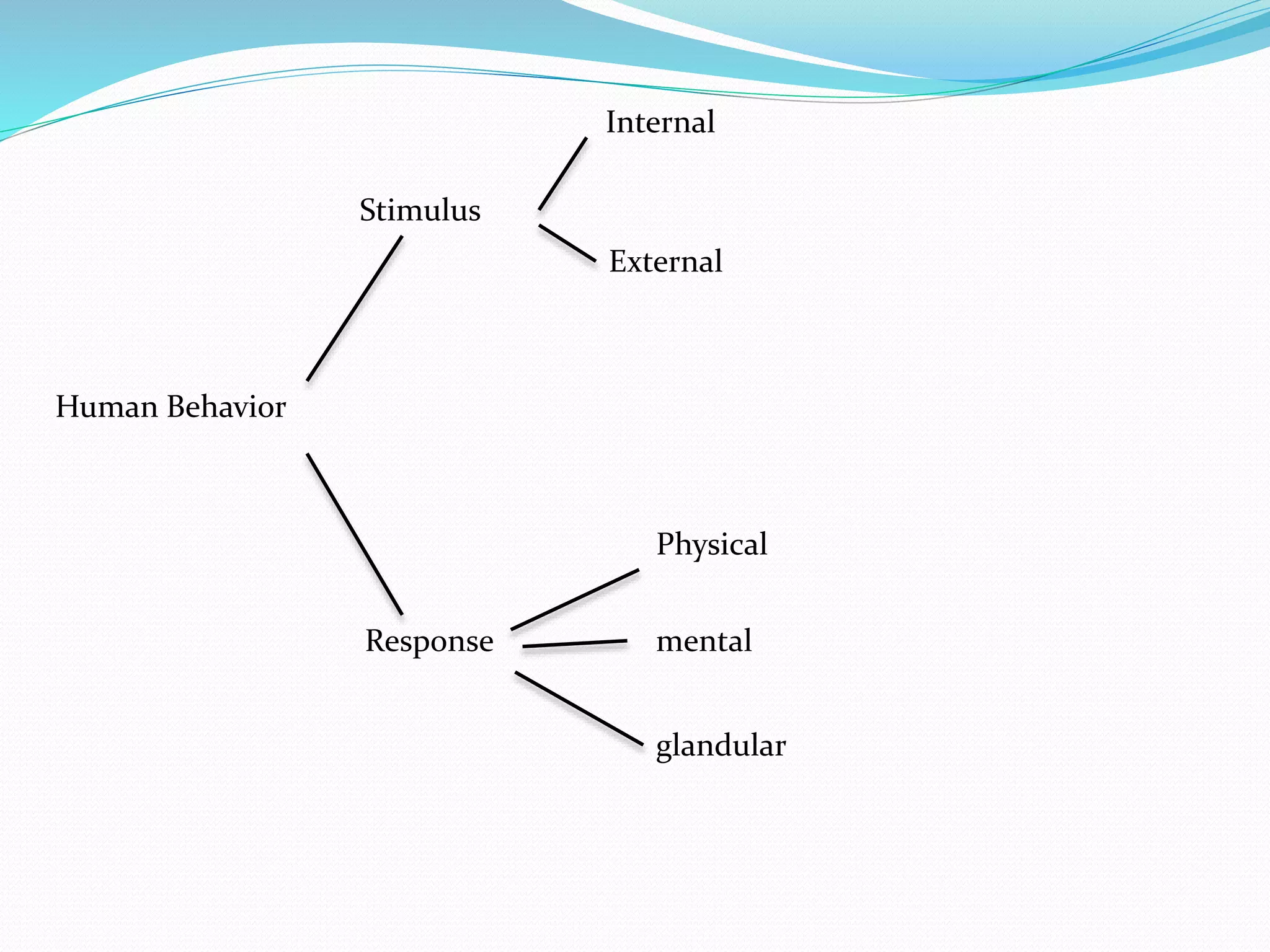 Human Behavior
Stimulus
Response
Internal
External
Physical
mental
glandular
 