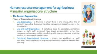 Human resource management for agribusiness
Managing organizational structure
 The Formal Organization
Types of Organizational Structure
1. Line Organization – a structure in which there is one simple, clear line of
authority extending downward from top management to each person in the
organization.
2. Line and Staff Organization – it includes a place for specialists, sometimes
known as staff; staff personnel have direct accountability to key line
managers and are responsible for offering advice on problems or providing
services in their area of specialization.
3. Functional Organizational Structure – meets the problems of staff
specialists’ authority head-on by granting them authority I the areas of their
specialty.
 
