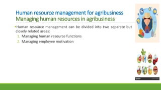 Human resource management for agribusiness
Managing human resources in agribusiness
Human resource management can be divided into two separate but
closely related areas:
1. Managing human resource functions
2. Managing employee motivation
 