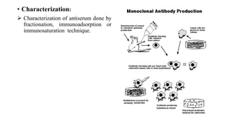 • Characterization:
 Characterization of antiserum done by
fractionation, immunoadsorption or
immunosaturation technique.
 