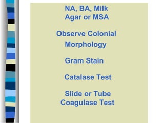 NA, BA, Milk
Agar or MSA
Observe Colonial
Morphology
Gram Stain
Catalase Test
Slide or Tube
Coagulase Test

 