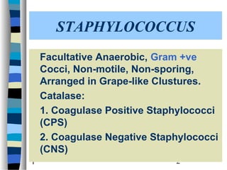 STAPHYLOCOCCUS
Facultative Anaerobic, Gram +ve
Cocci, Non-motile, Non-sporing,
Arranged in Grape-like Clustures.
Catalase:
1. Coagulase Positive Staphylococci
(CPS)
2. Coagulase Negative Staphylococci
(CNS)
1

2

 