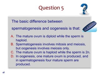 47
The basic difference between
spermatogenesis and oogenesis is that:
A. The mature ovum is diploid while the sperm is
ha...
