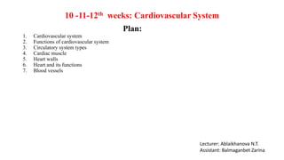 10 -11-12th weeks: Cardiovascular System
Lecturer: Ablaikhanova N.T.
Assistant: Balmaganbet Zarina
Plan:
1. Cardiovascular system
2. Functions of cardiovascular system
3. Circulatory system types
4. Cardiac muscle
5. Heart walls
6. Heart and its functions
7. Blood vessels
 