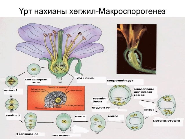 Lecture10