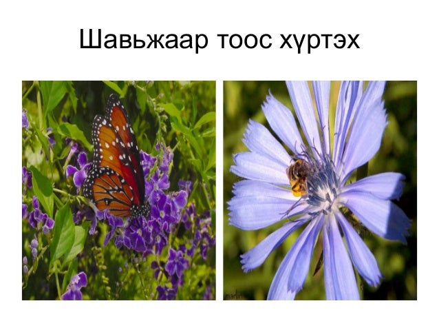 Lecture10