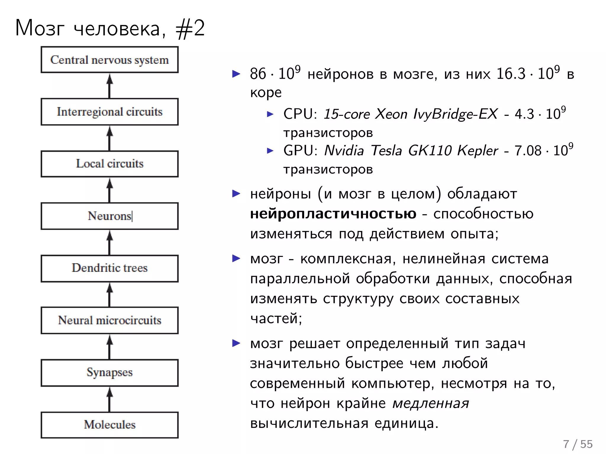 Мозг человека, #2
86 · 109
нейронов в мозге, из них 16.3 · 109
в
коре
CPU: 15-core Xeon IvyBridge-EX - 4.3 · 109
транзисторов
GPU: Nvidia Tesla GK110 Kepler - 7.08 · 109
транзисторов
нейроны (и мозг в целом) обладают
нейропластичностью - способностью
изменяться под действием опыта;
мозг - комплексная, нелинейная система
параллельной обработки данных, способная
изменять структуру своих составных
частей;
мозг решает определенный тип задач
значительно быстрее чем любой
современный компьютер, несмотря на то,
что нейрон крайне медленная
вычислительная единица.
7 / 55
 