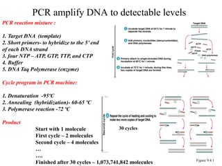 PCR amplify DNA to detectable levels
Figure 9.4.1
PCR reaction mixture :
1. Target DNA (template)
2. Short primers- to hybridize to the 5’ end
of each DNA strand
3. four NTP – ATP, GTP, TTP, and CTP
4. Buffer
5. DNA Taq Polymerase (enzyme)
Cycle program in PCR machine:
1. Denaturation -95ºC
2. Annealing (hybridization)- 60-65 ºC
3. Polymerase reaction -72 ºC
Product
Start with 1 molecule
First cycle – 2 molecules
Second cycle – 4 molecules
…
….
Finished after 30 cycles – 1,073,741,842 molecules
30 cycles
 