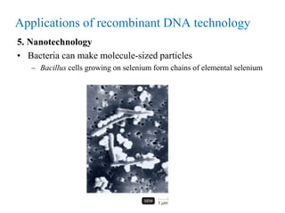 5. Nanotechnology
• Bacteria can make molecule-sized particles
– Bacillus cells growing on selenium form chains of elemental selenium
Applications of recombinant DNA technology
 