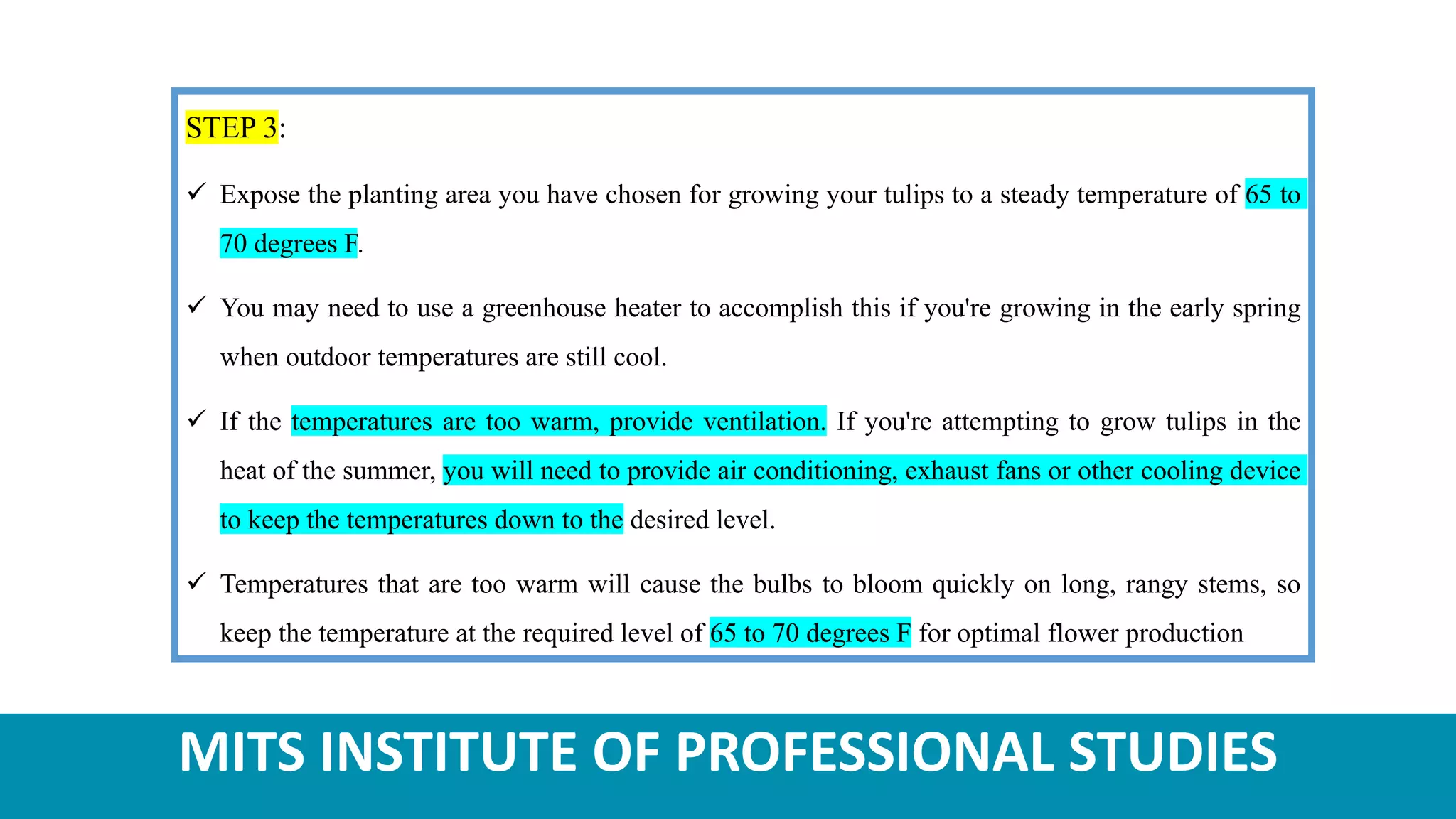 MITS INSTITUTE OF PROFESSIONAL STUDIES
STEP 3:
 Expose the planting area you have chosen for growing your tulips to a steady temperature of 65 to
70 degrees F.
 You may need to use a greenhouse heater to accomplish this if you're growing in the early spring
when outdoor temperatures are still cool.
 If the temperatures are too warm, provide ventilation. If you're attempting to grow tulips in the
heat of the summer, you will need to provide air conditioning, exhaust fans or other cooling device
to keep the temperatures down to the desired level.
 Temperatures that are too warm will cause the bulbs to bloom quickly on long, rangy stems, so
keep the temperature at the required level of 65 to 70 degrees F for optimal flower production
 