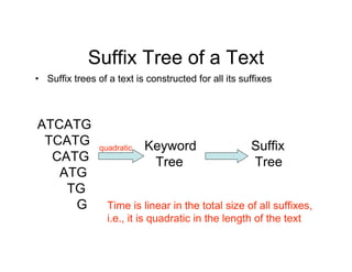 Suffix Tree of a Text
• Suffix trees of a text is constructed for all its suffixes
ATCATG
TCATG
CATG
ATG
TG
G
quadratic Ke...