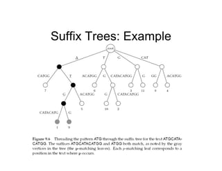 Suffix Trees: Example
 