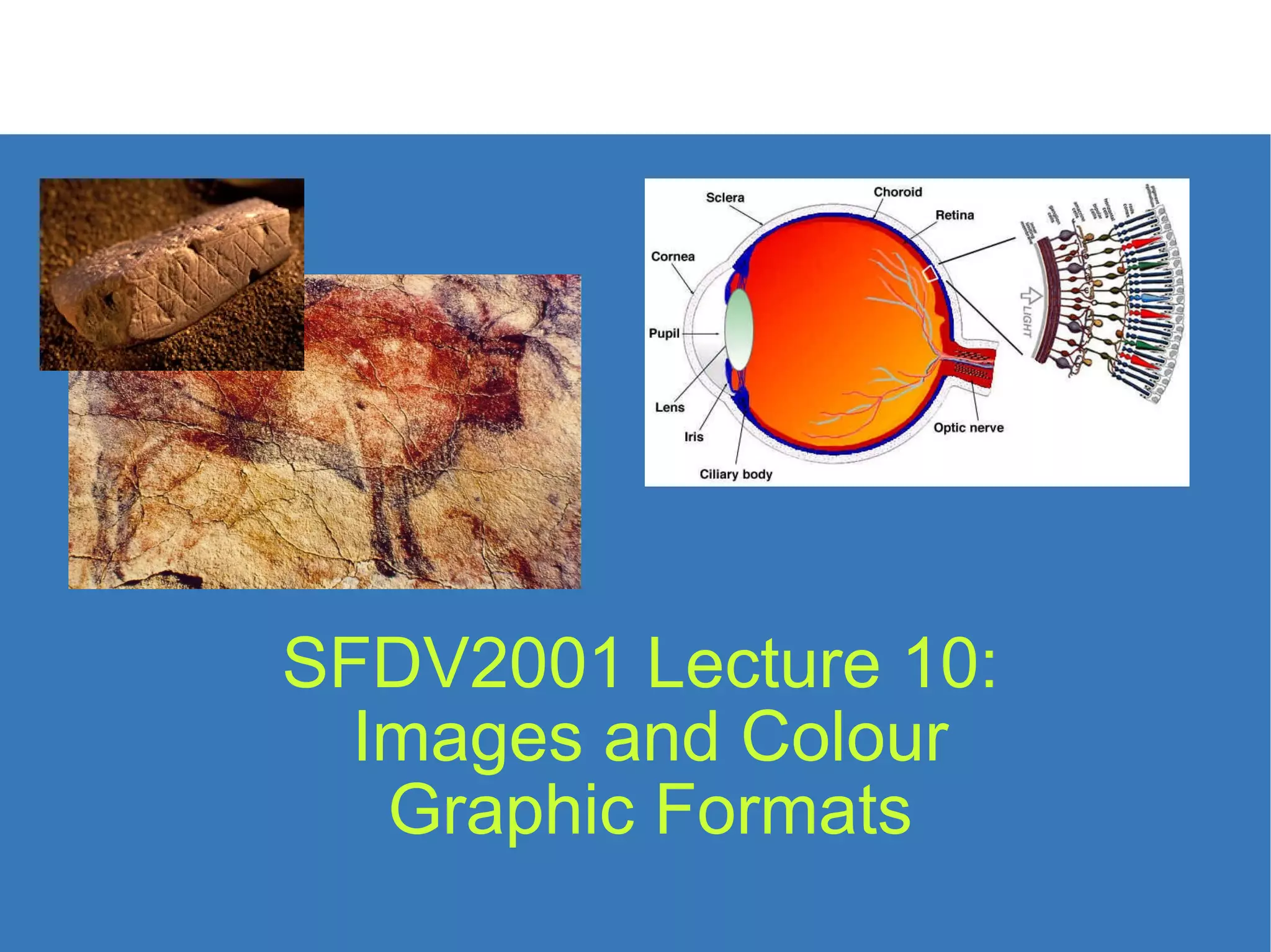 SFDV2001 Lecture 10: Images and Colour Graphic Formats 