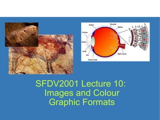 SFDV2001 Lecture 10:  Images and Colour  Graphic Formats 
