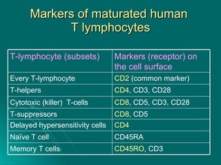 Markers of maturated human  T lymphocytes CD45RA Naïve T cell CD45RO , CD3 Memory T cells CD4 Delayed hypersensitivity cells CD8 , CD5 T-suppressors CD8 , CD5, CD3, CD28 Cytotoxic (killer)  T-cells CD4,  CD3, CD28 T-helpers CD2  (common marker) Every T-lymphocyte  Markers (receptor) on the cell surface  T-lymphocyte (subsets) 