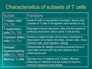 Characteristics of subsets of T cells Develop from T-helpers and T-killers. Remain following an infection and are ready to mount a immune response more rapidly Memory T cells Responsible for allergic occurring several hours or days after contact with Ag; skin reaction as in tuberculosis test Delayed hypersensitivity cells ( Td, Tdth ) Destroy a target foreign cell by lysis; important in destruction of complex microbes, cancer cells, virus-infected cells, graft rejection; allergy Cytotoxic (killer) cells ( Tc, Tk ) Regulate immune reactions; cells limit the extent of antibody production; block some T-cell activity T suppressor cells ( Ts, T8 ) Assist B cells in recognition of antigen; assist other subsets of T cells in recognition and reaction to Ag T helper cells ( Th, T4 ) Functions  Subset  
