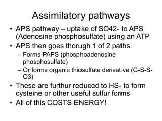 Lecture 10 - Sulfur cycling.ppt, reduction | PPT