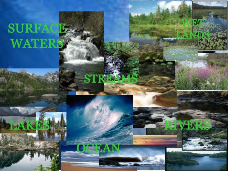 Lecture 10. surface waters