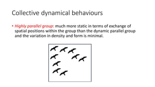 Collective dynamical behaviours
• Highly parallel group: much more static in terms of exchange of
spatial positions within the group than the dynamic parallel group
and the variation in density and form is minimal.
 