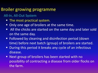 System Development Broiler Broiler management.pptx
