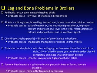 Broiler management.pptx